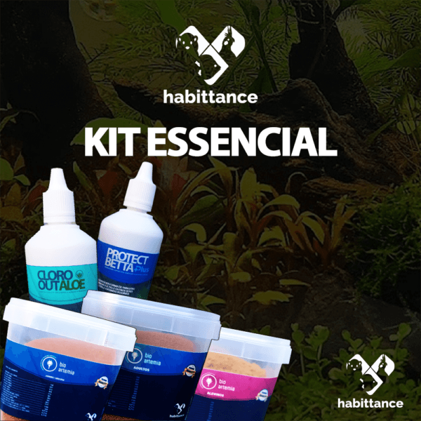 Kit Essencial