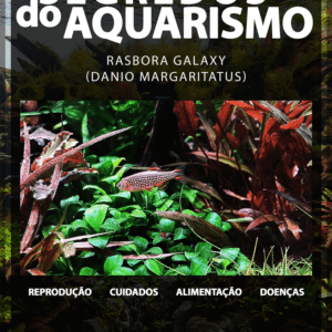 Segredos do aquarismo Rasbora Galaxy (Danio margaritatus)