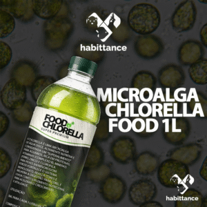 Food chlorella Habittance 1L